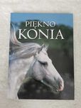 Piękno    konia.