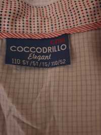 Koszula chłopięca coccodrillo rozmiar 110