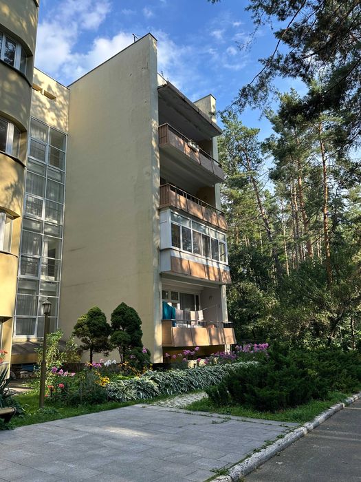 Будиночок у сосновому лісі біля Києва з мангалом і альтанкою