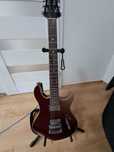 Gitara elektryczna Blade Durango TM Edition