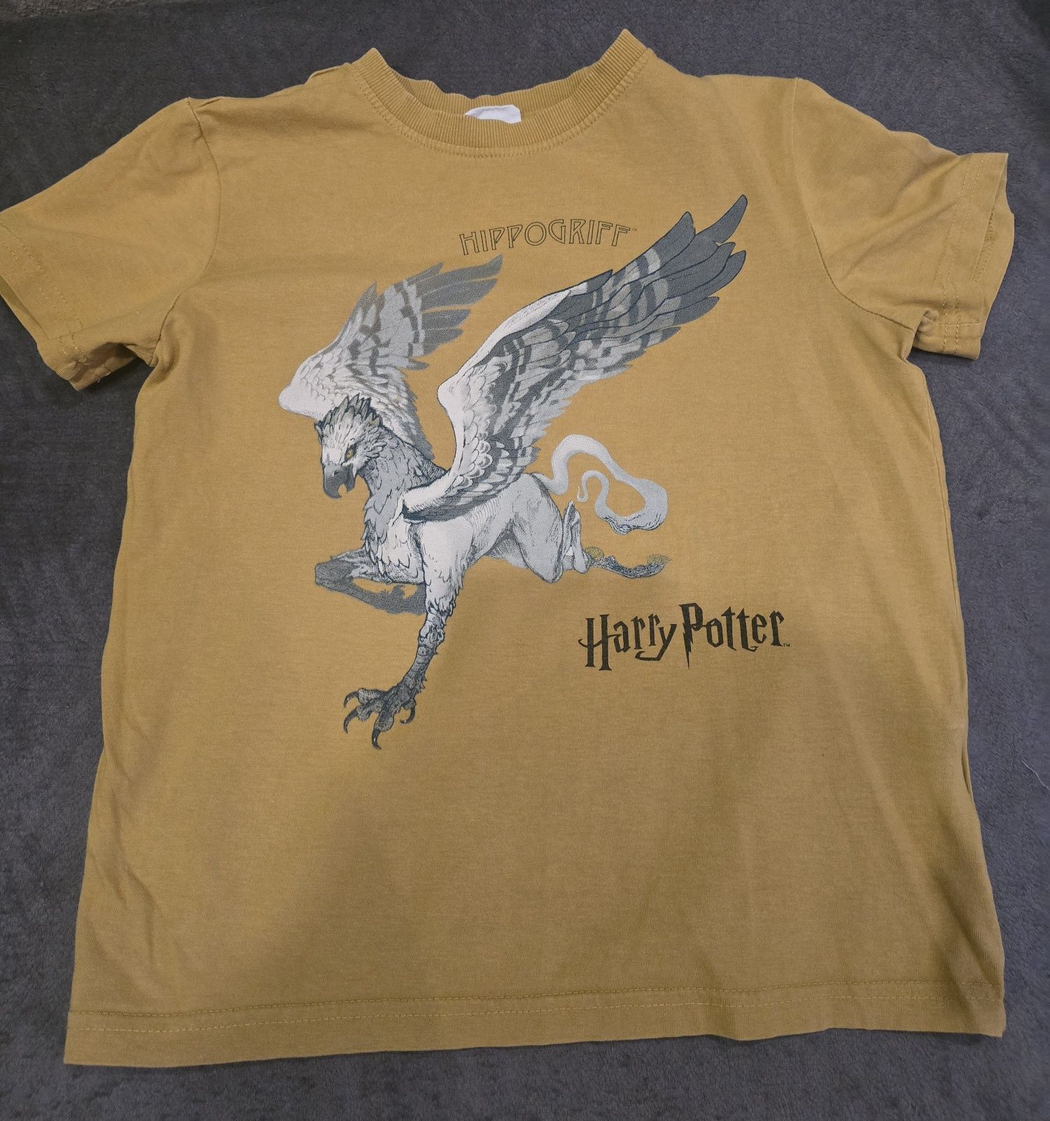 T shirt, koszulka Harry Potter Coccodrillo 146