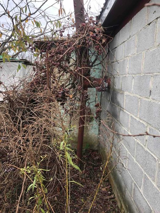 Пропоную до продажу будинок в кооперативі  "Машинобудівник"