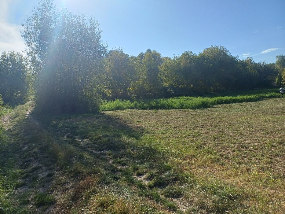 Будинок з земельною ділянкою с Івки