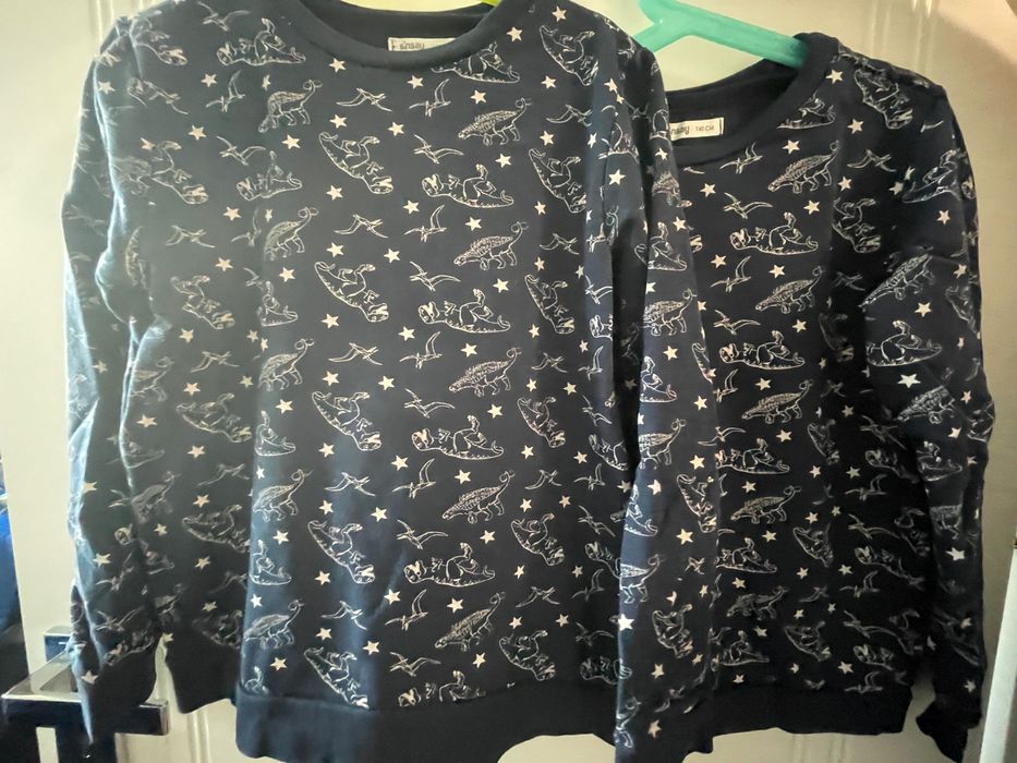 Bluzy dla chłopców / bliźniaków 140 Dinozaury