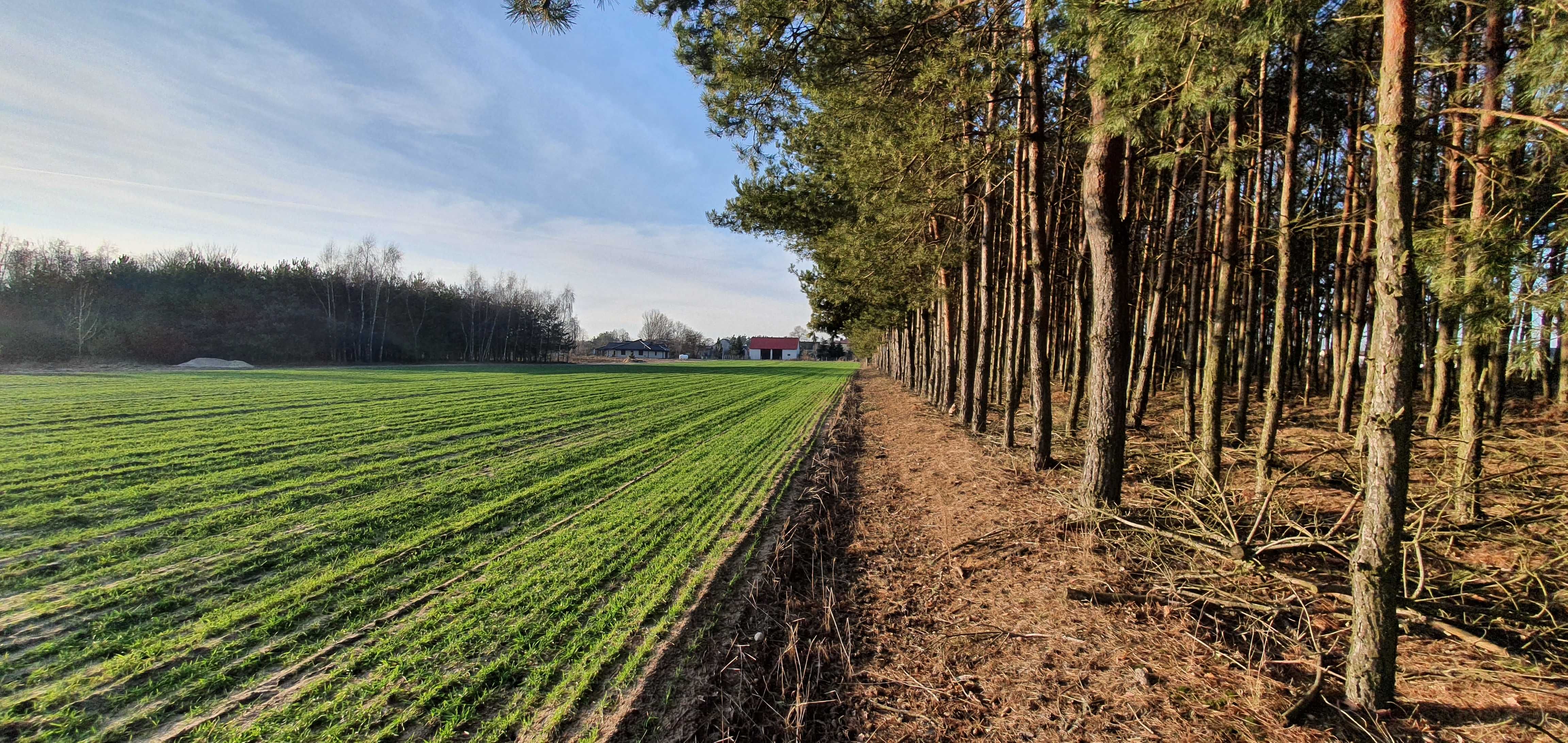 Działka budowlana Cicha i spokojna okolica Działki budowlane