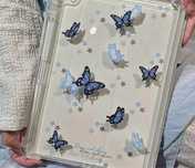 Чохол iPad 2024 (11 дюймів)