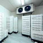Reparação frio, técnico refrigeração
