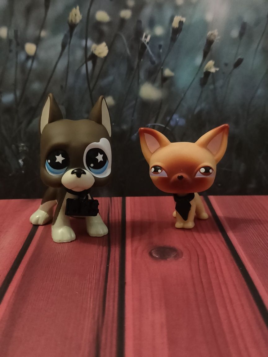 Akcesoria dla figurek littlest pet shop