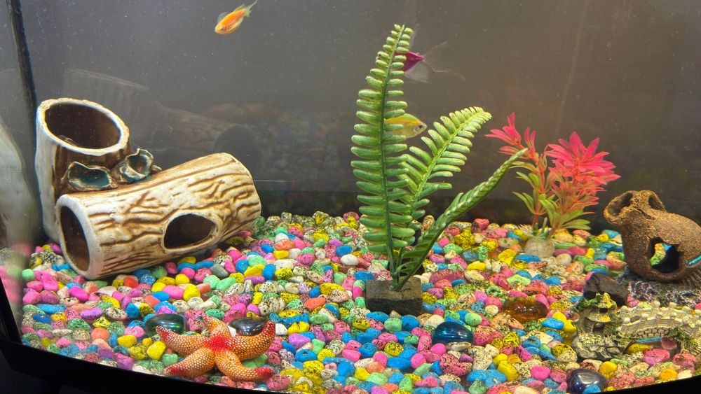 Аквариум с рыбками