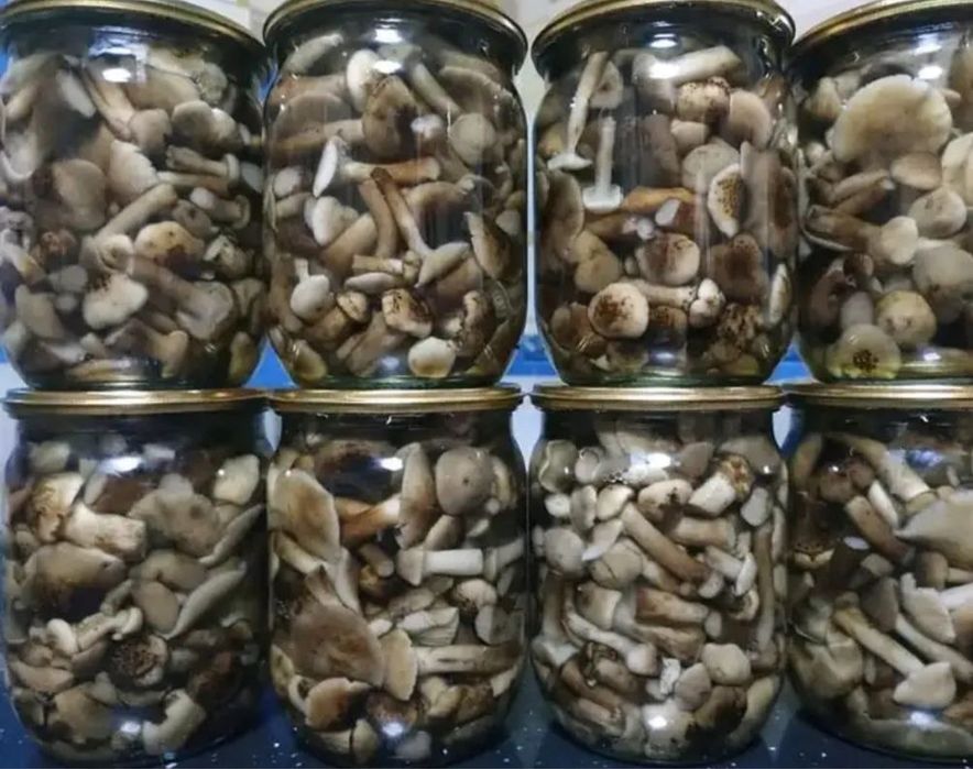 Мариновані грибочки, смачний маринад, широкий асортимент різних видів