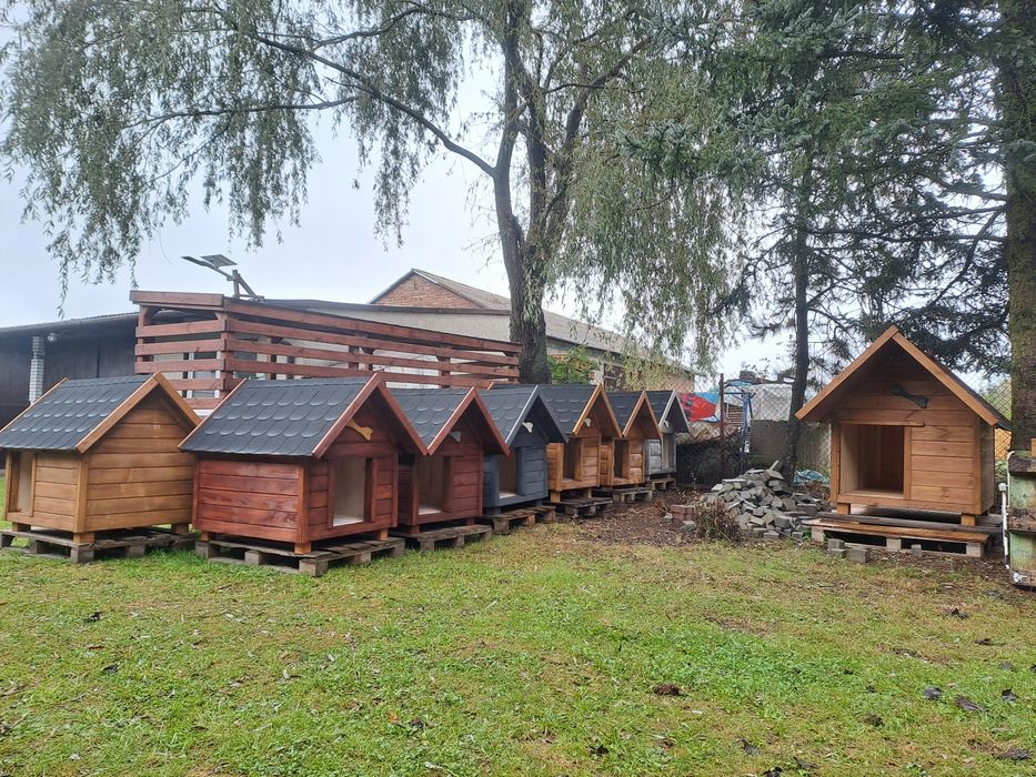 Budy dla Twojego pupila duży wybór. Zapraszamy