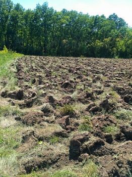 Продам земельну ділянку в Пісочині