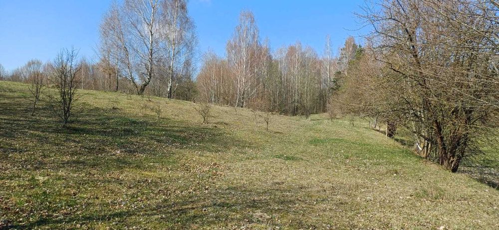 Działki - prywatność i przestrzeń.