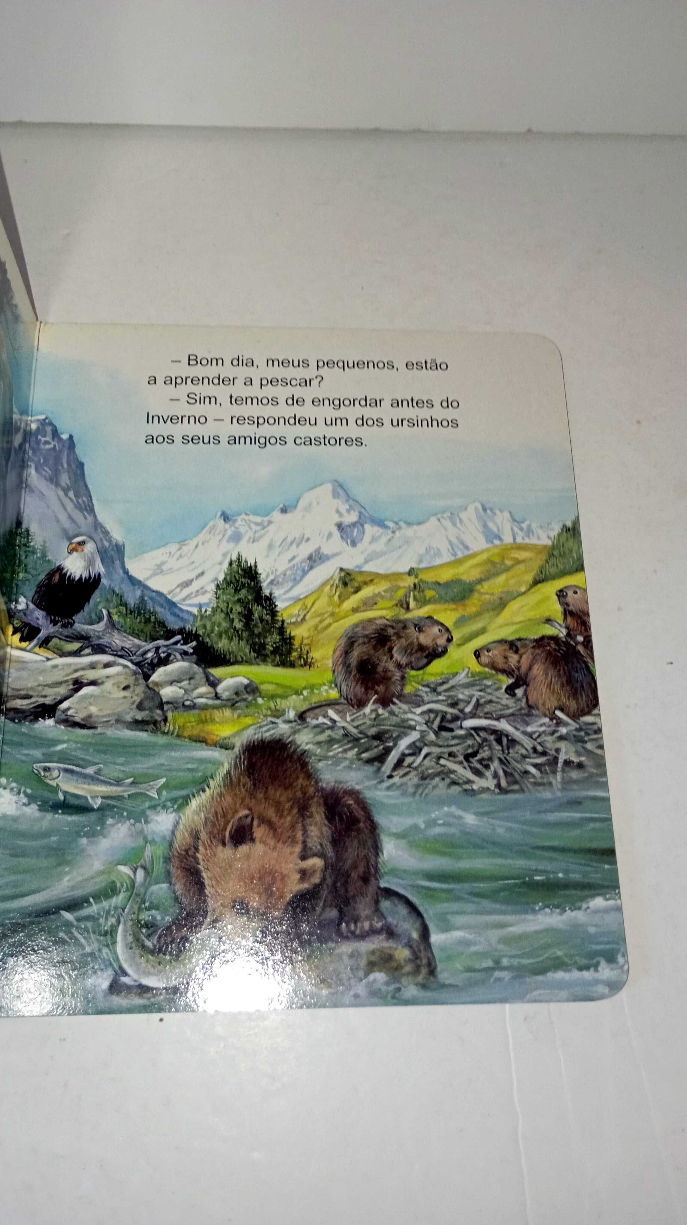 O Passeio do Ursinho