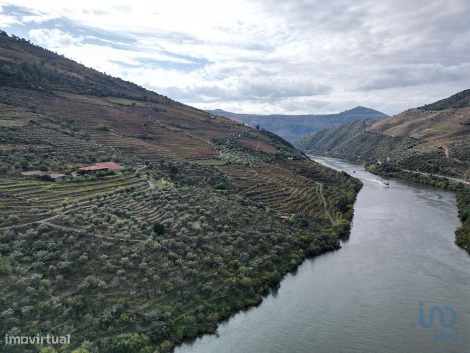 Quinta T4 em Ervedosa do Douro de 1720,00 m2