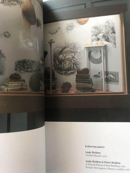 Ovos historia do colecionismo de ovos