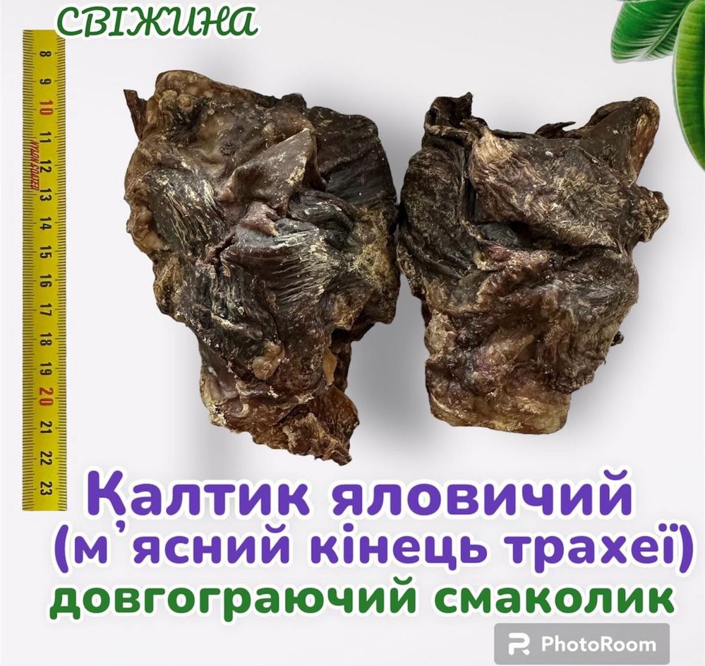 Калтик яловичий - довгограючий смаколик для собак. ТМ СВІЖИНА. Украіна