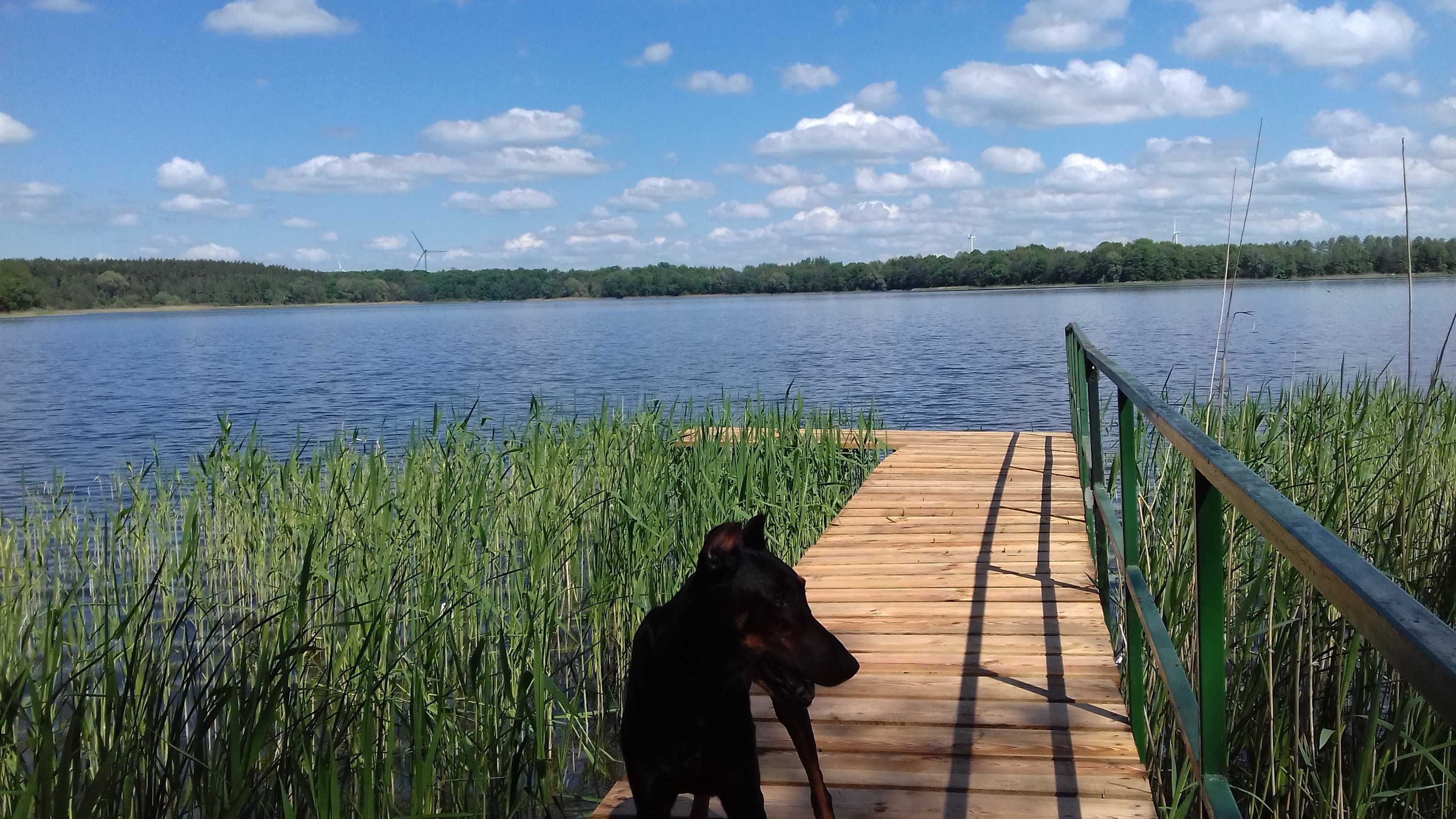 Domek nad jeziorem- Mazury