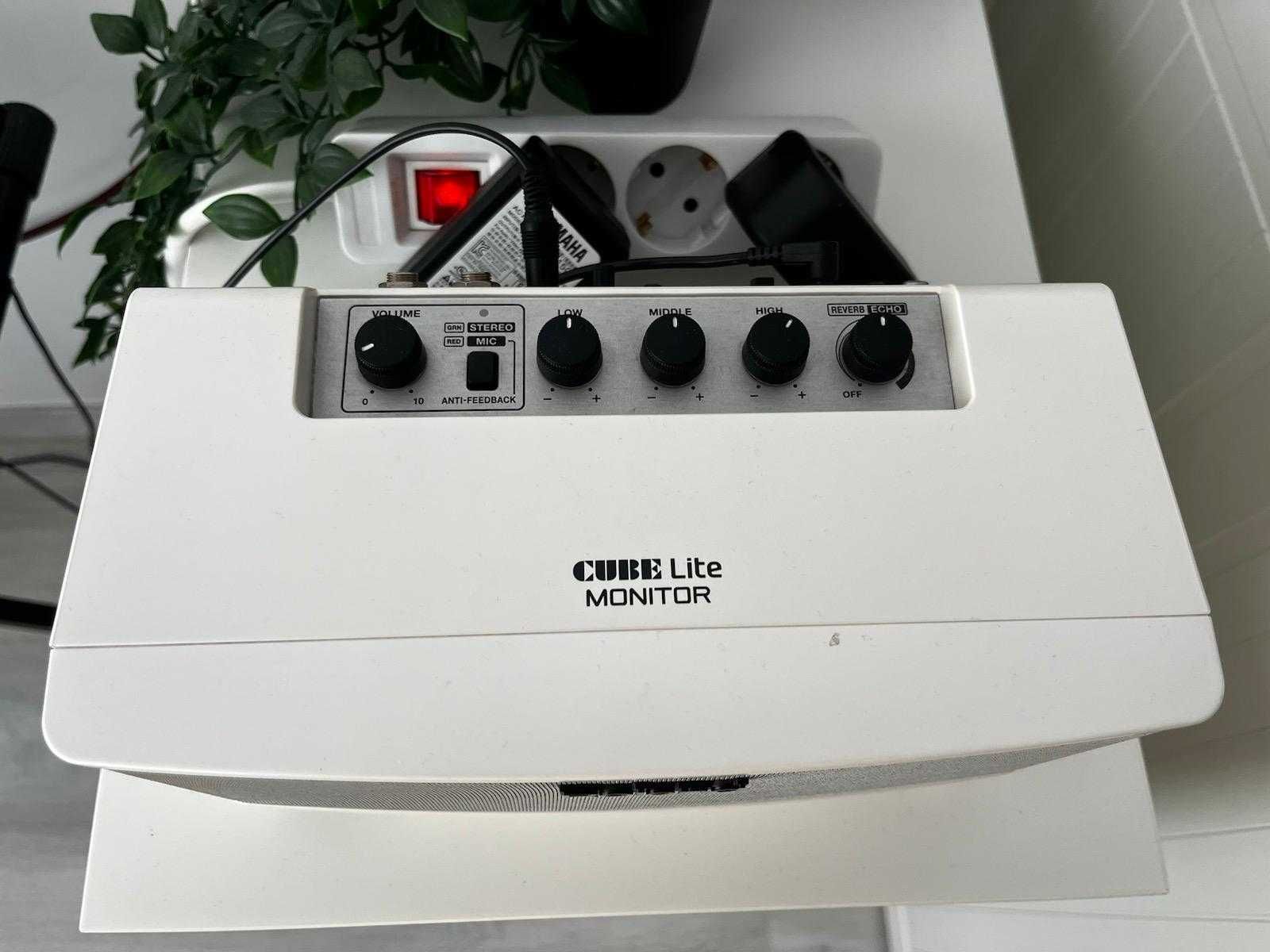 Roland CUBE Lite Amplificador Monitor