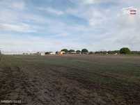 Terreno Plano 5.000 m² com Potencial de Construção  Montijo