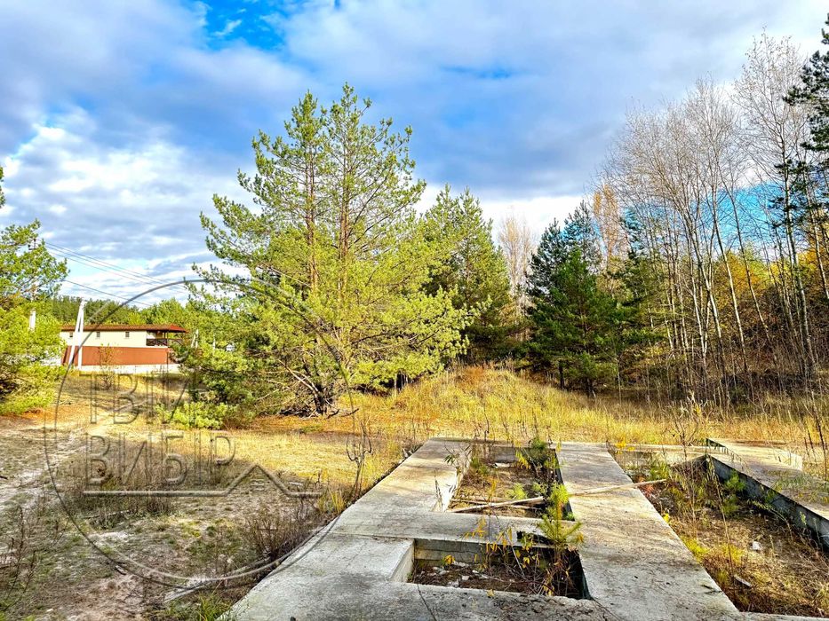 Продаж Ділянки 10 соток Гореничі Світло Ліс