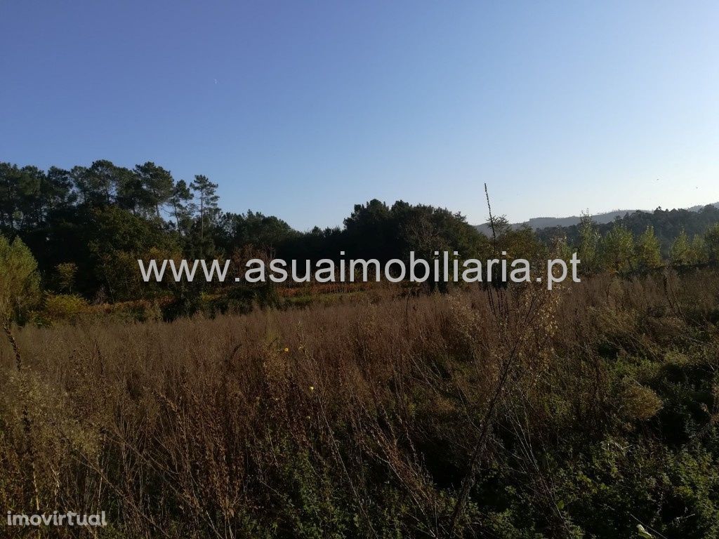 Terreno Agrícola - Ferreiros