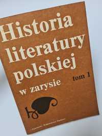 Historia literatury polskiej w zarysie - Tom pierwszy