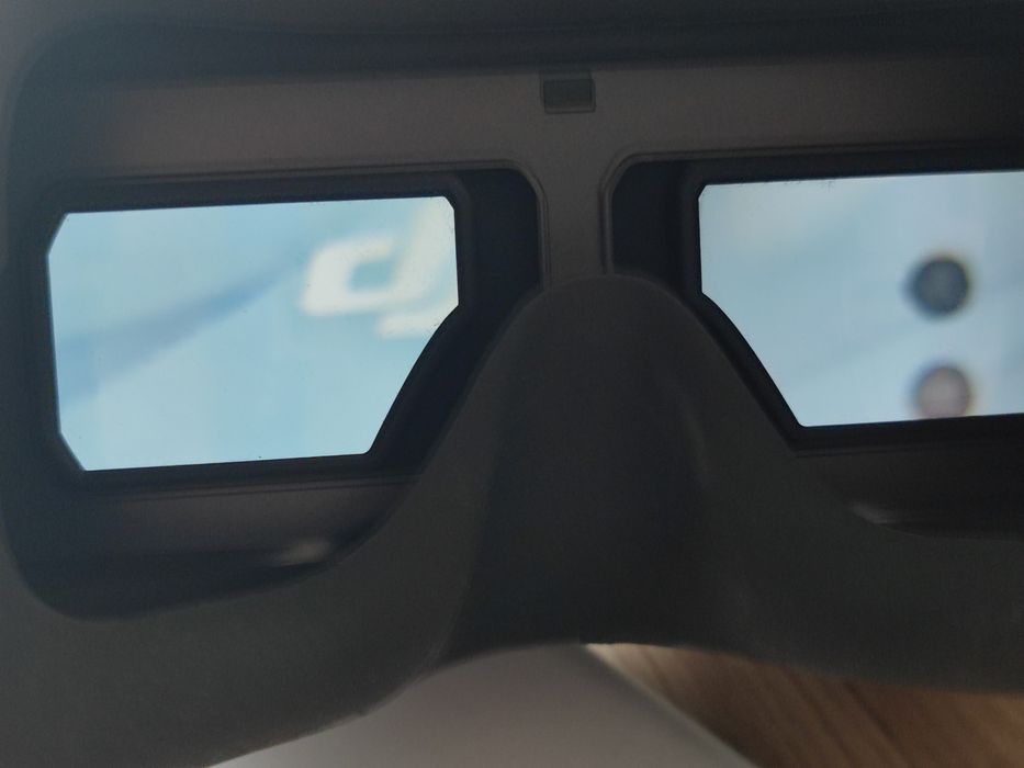 DJI Goggles Racing Edition