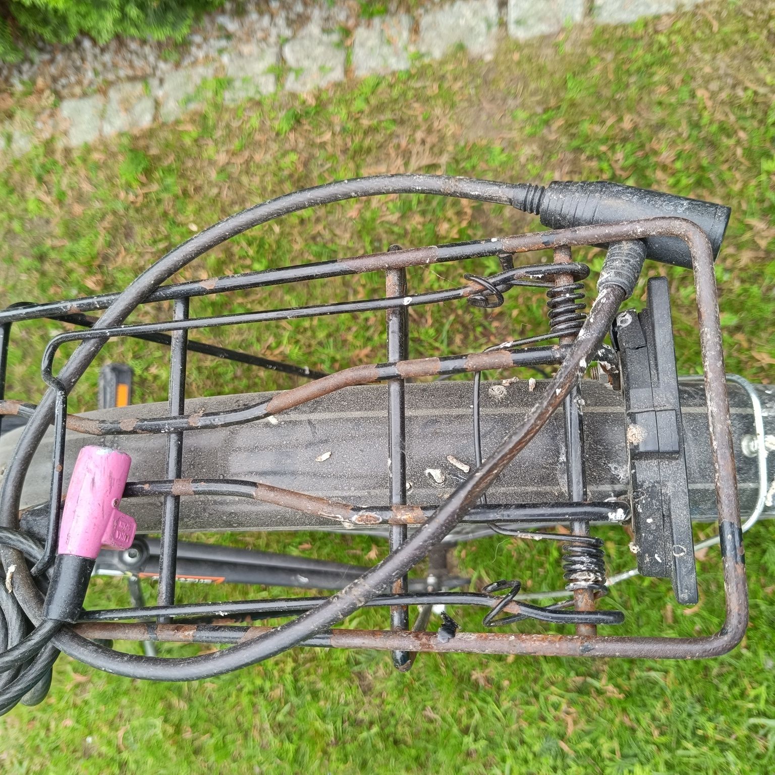 Rower Pegasus 26