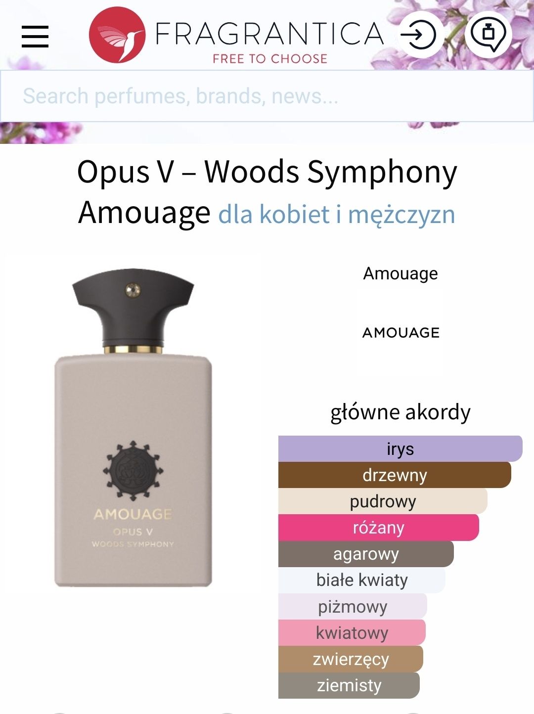 Amouage Opus V Woods Symphony 100 ml
