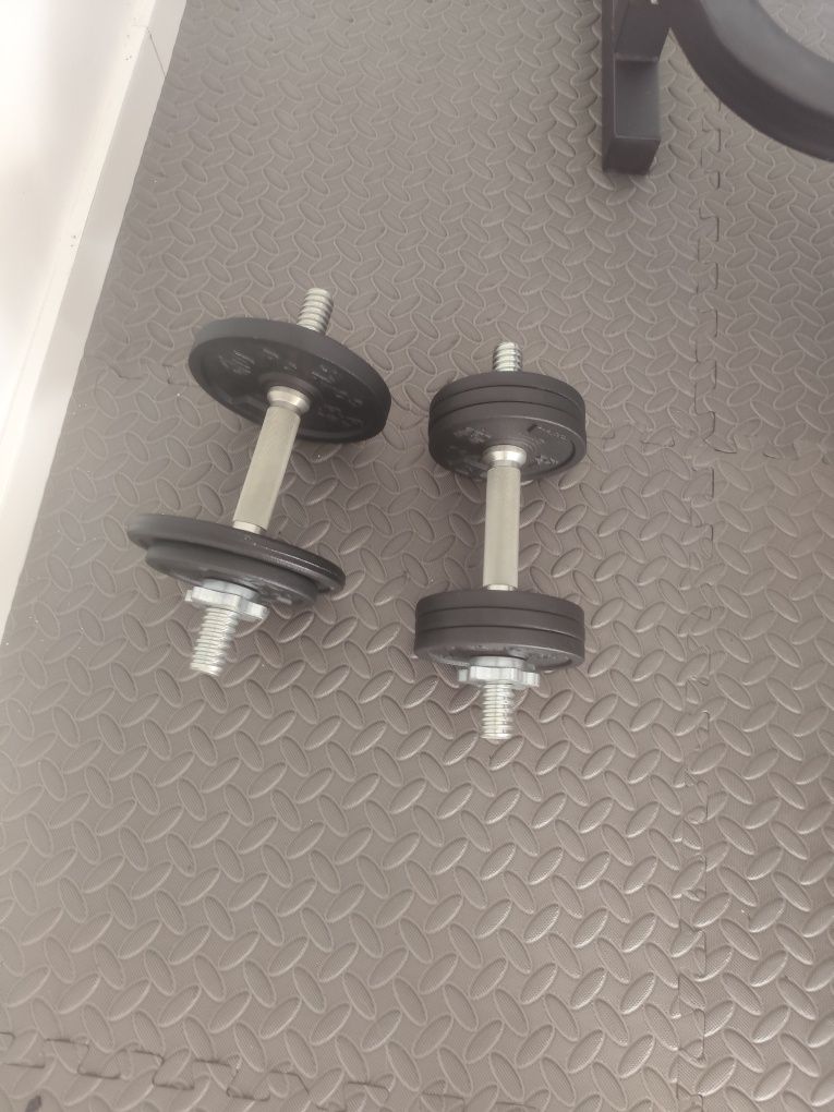Vendo banco de treino multifuncional / barras para discos de peso