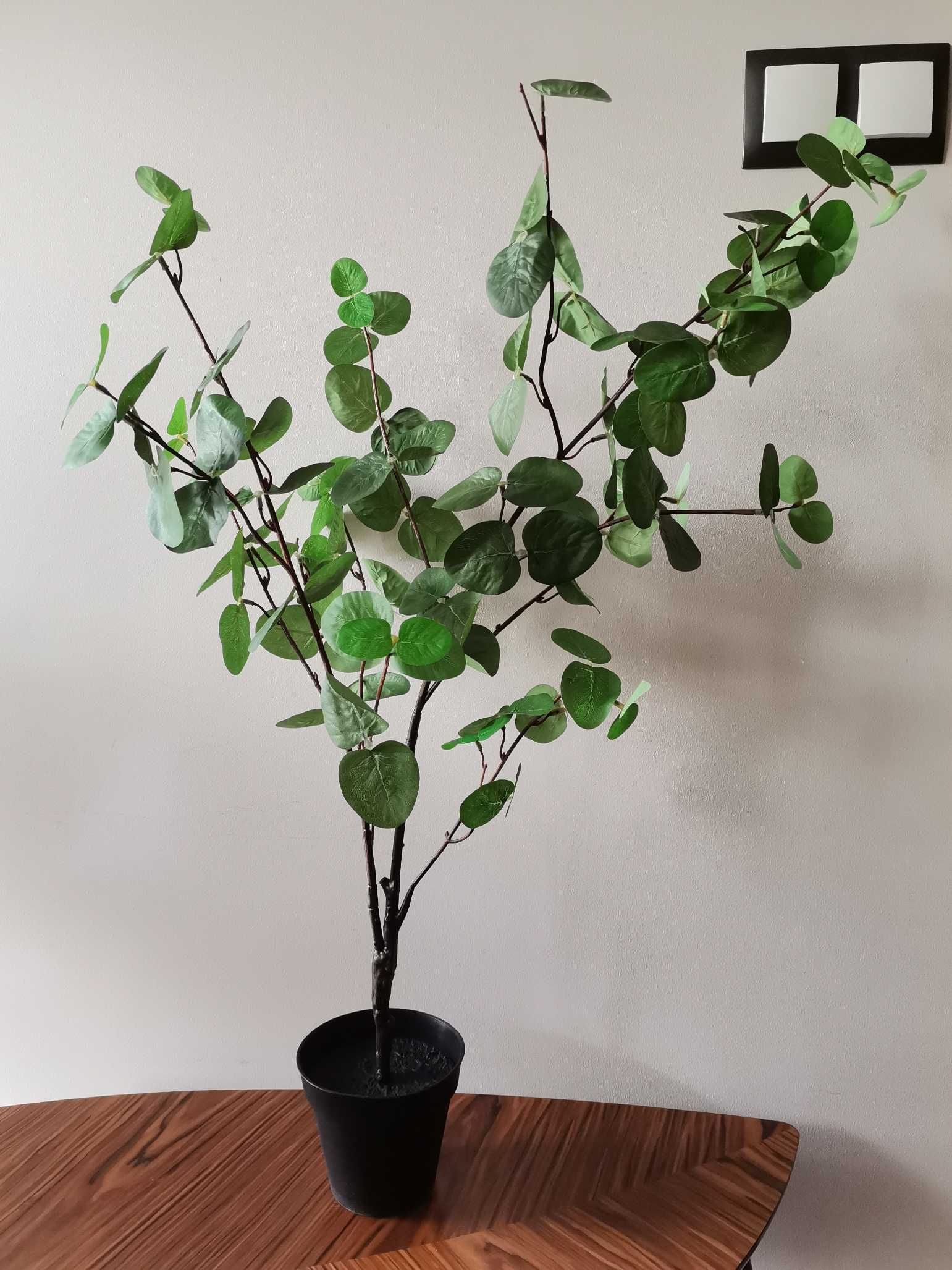 Sztuczna roślinka doniczkowa-eukaliptus, wys. 87 cm