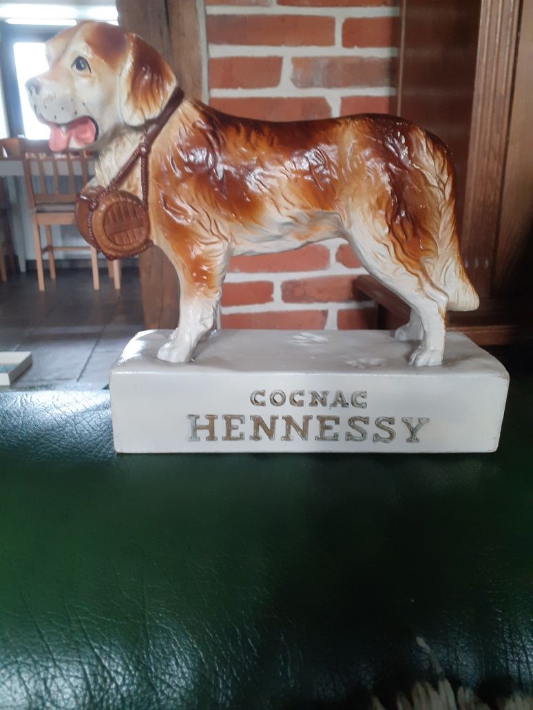 Figorka Bernardyn Hennessy bardzo rzadki egzemplarz