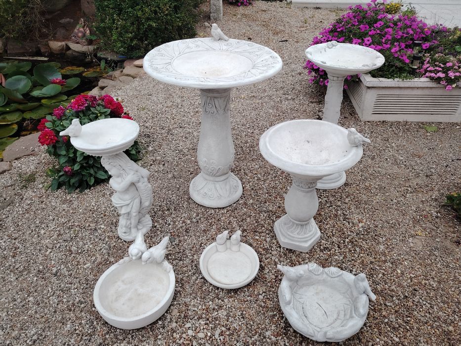 Poidełka dla ptaków