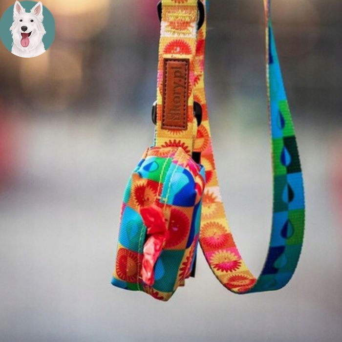 szelki guard dla kota brytyjskiego egzotycznego regulowane  kolorowe