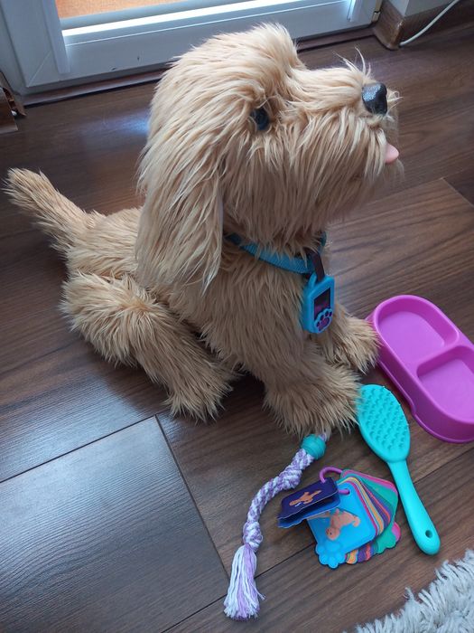 Sprzedam pieska Piksel interaktywny, jak nowy