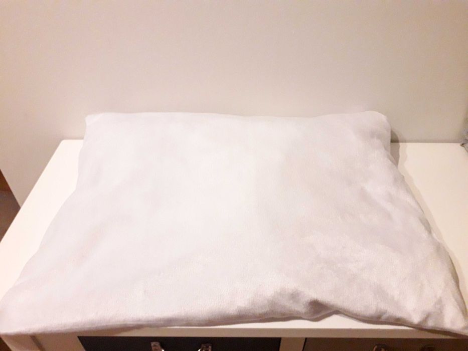 Duas tocas para gato ou cão pequeno