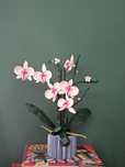 Lego Storczyk Orchidea