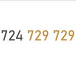 ZŁOTY NUMER : 724_729_729
