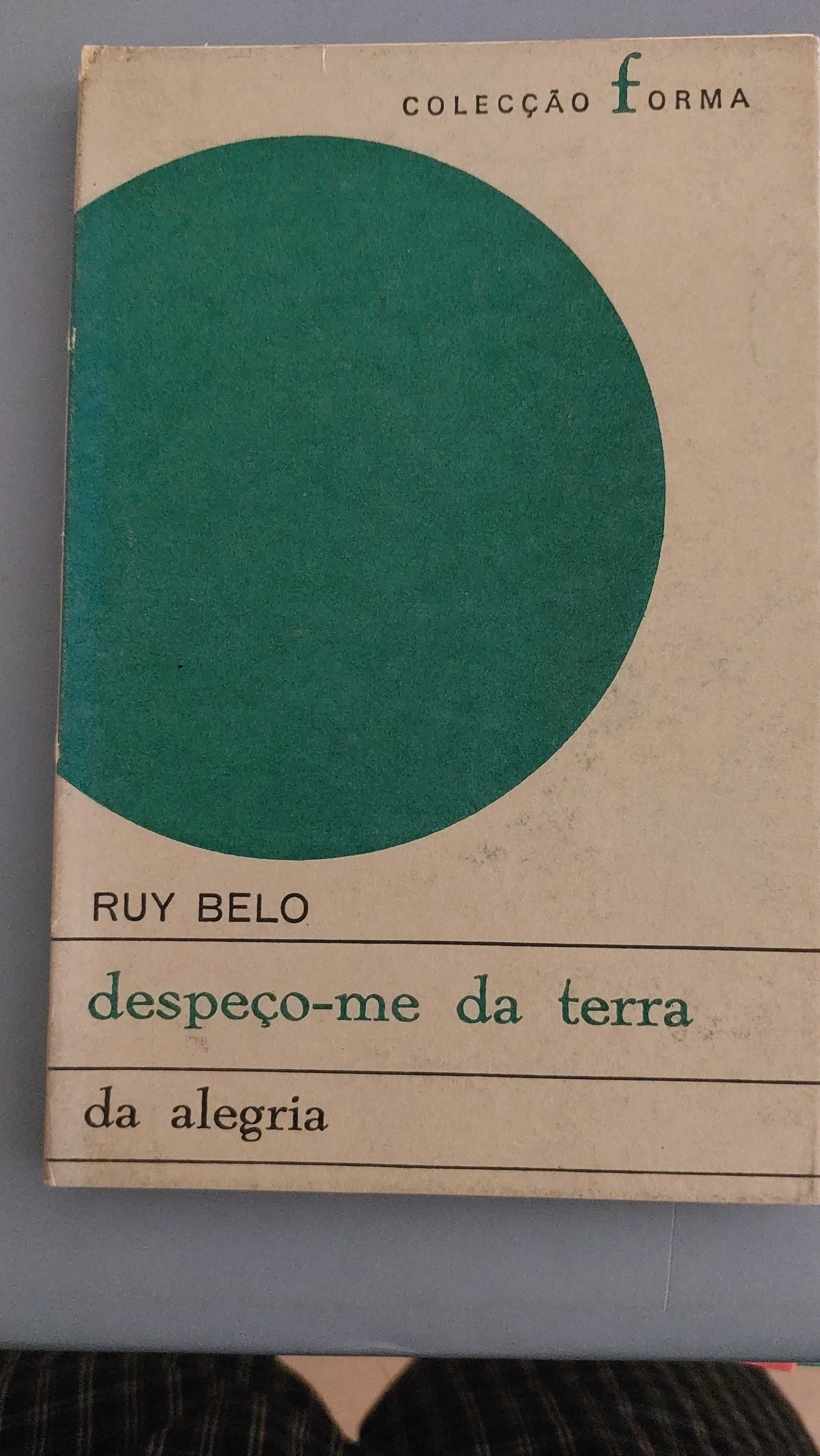 Ruy Belo, 1° edição - despeço-me da terra