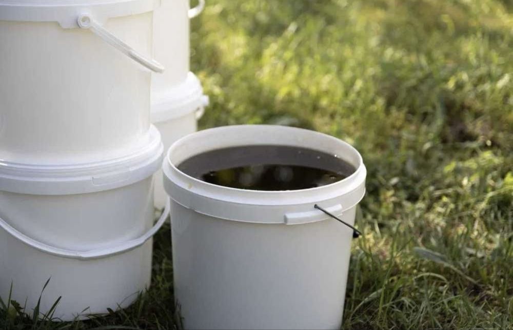 Naturalny miód: akacja, lipa, wielokwiat, leśny i gryka – od 20 zł/kg