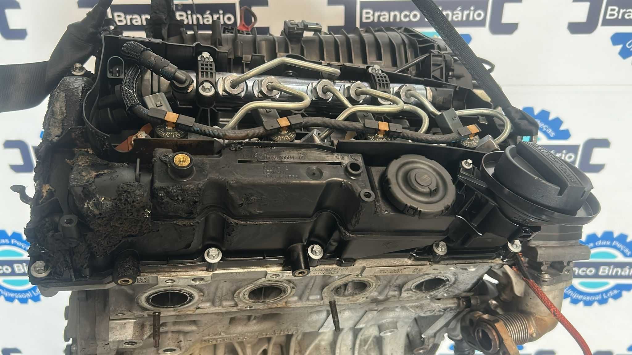 Motor BMW 320 184 cv (n47d20c)