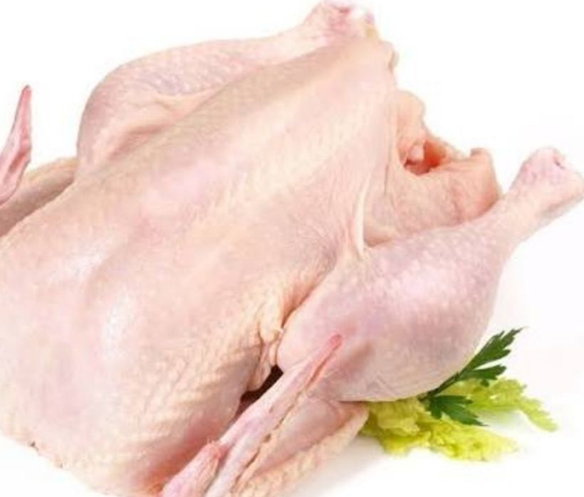 Dostawca drobiu tuszki kurczaka .brojlera