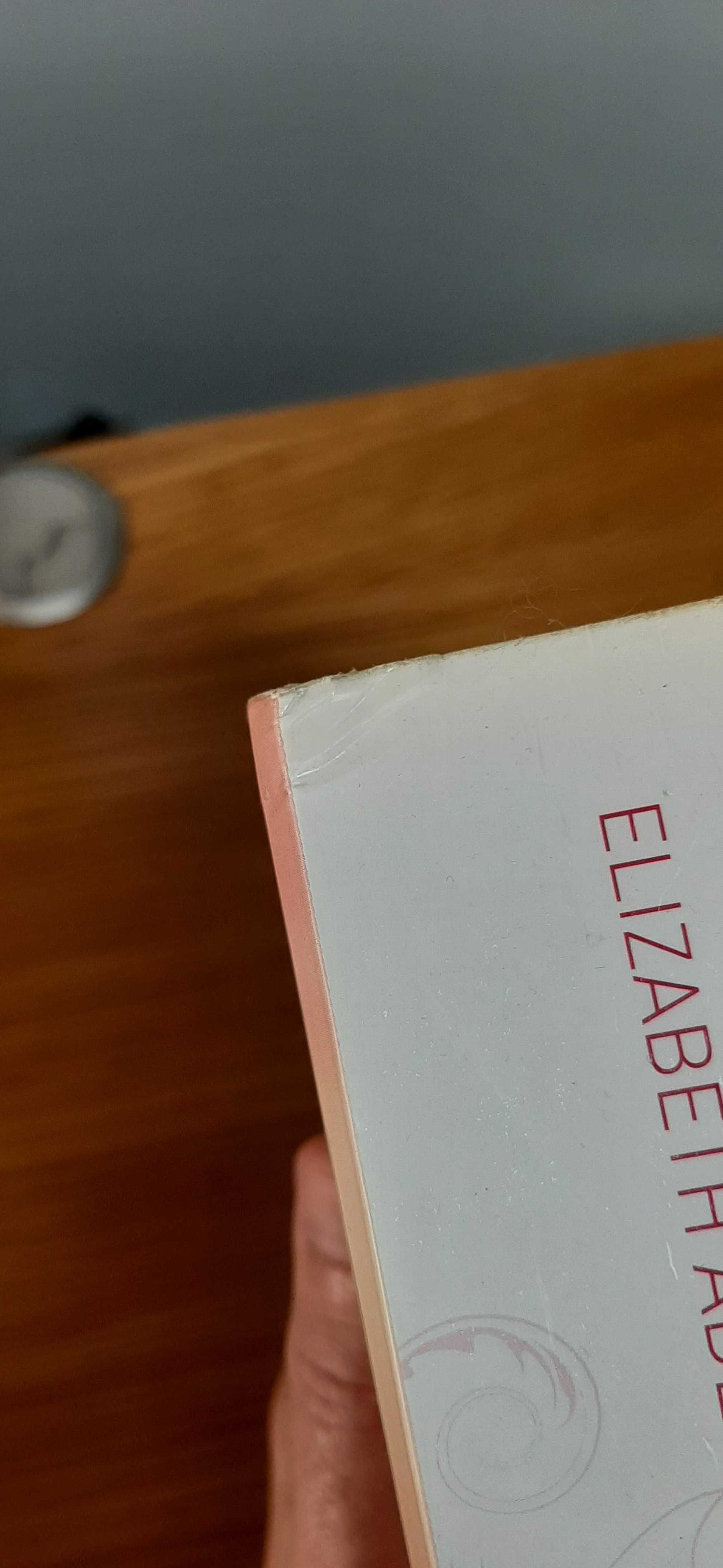 Livro "Encontra-me em Itália" (Elizabeth Adler)