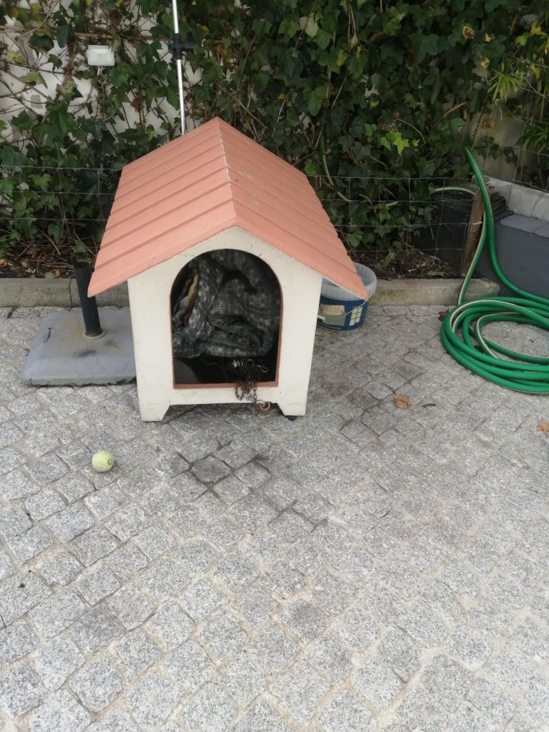 Casota para cão médio porte