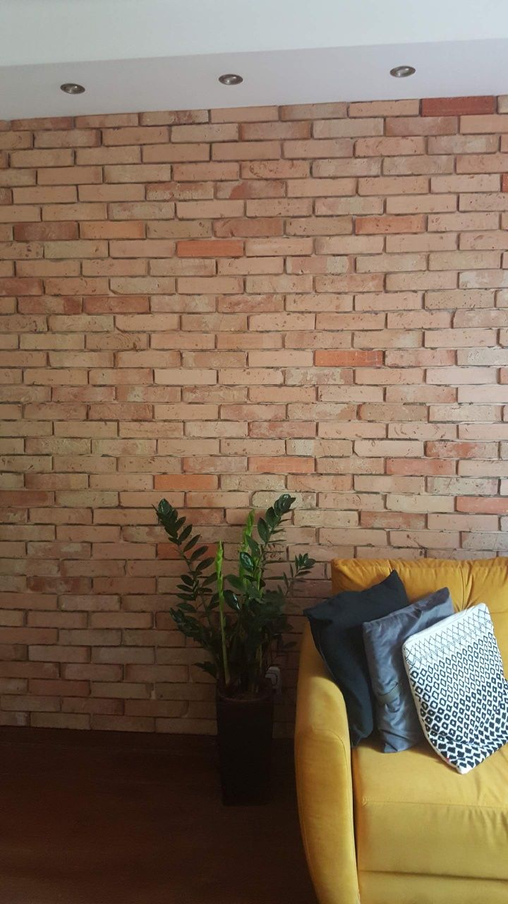 Cegla cięta  rozbiorkowa,plytki z cegly srodek  34zł pół metra