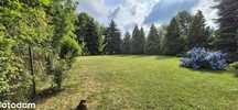 Działka 6ar (431m2 PUM) + Mieszkanie 62m2 + Lokal 29m2 odrębna KW