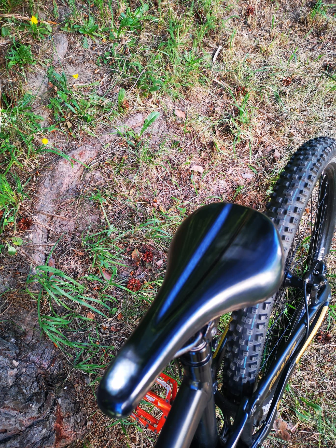 Rower MTB Giant Trance Advance2 2017r