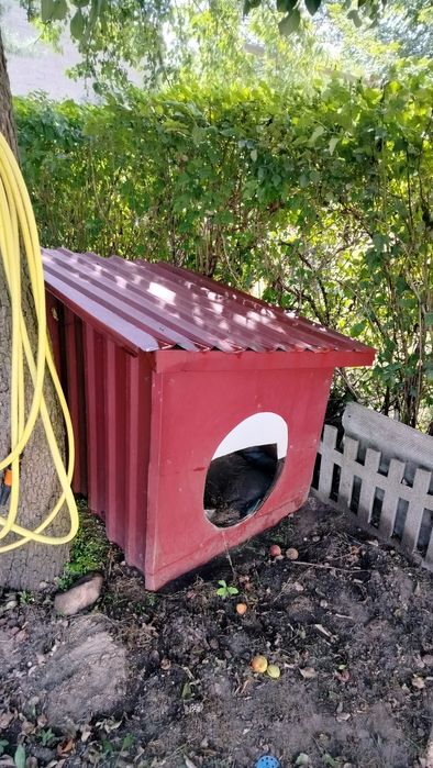 Sprzedam domek dla psa