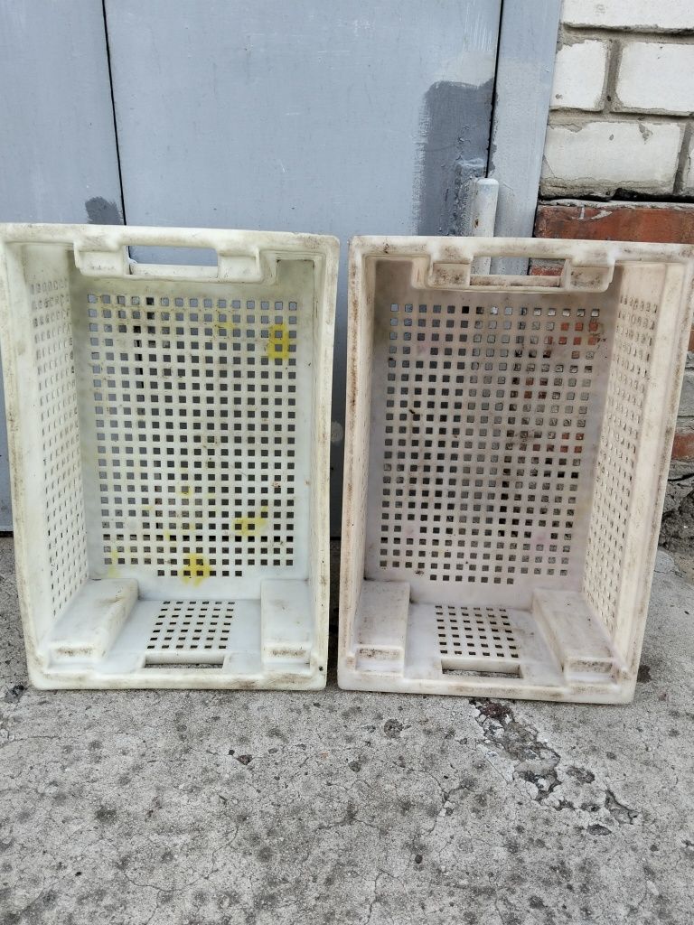 Продам пластмасові ящики